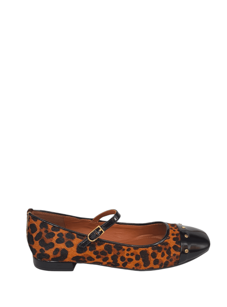 BAILARINAS LEOPARDO