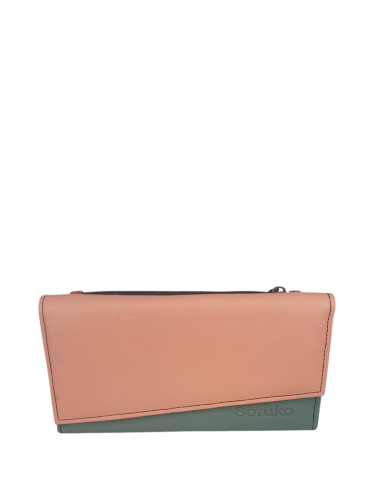 CARTERA PISA