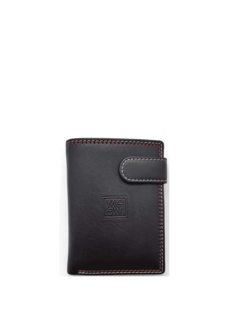 CARTERA PIEL