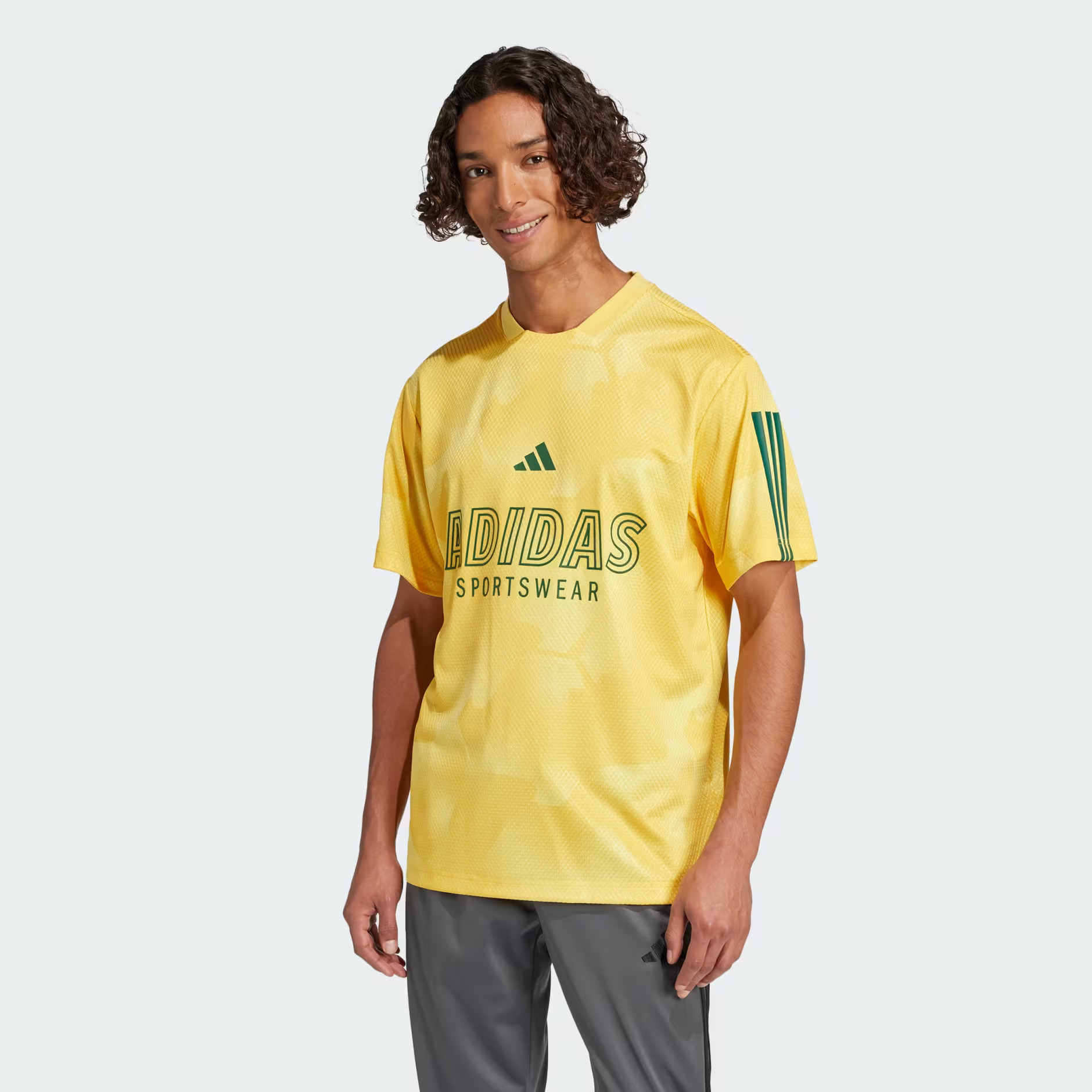 CAMISETA HOUSE